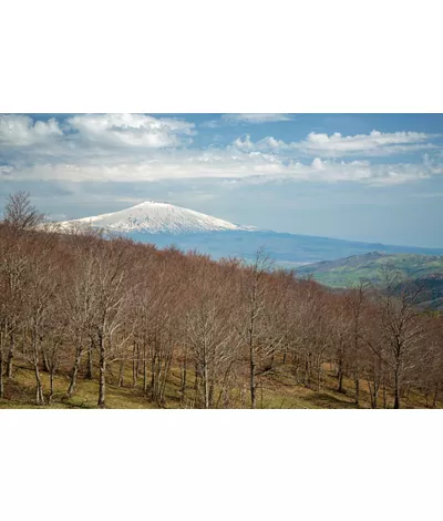 Vista Monte Etna