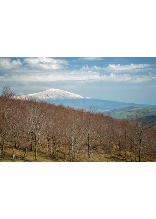 Vista Monte Etna