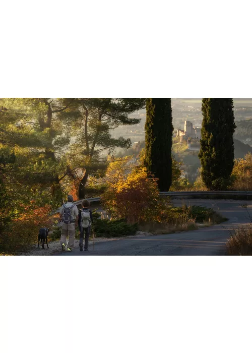 Cammini Aperti: edición Jubileo 2025