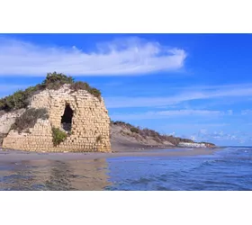 Les Pouilles inédites : entre parcs et marais salants