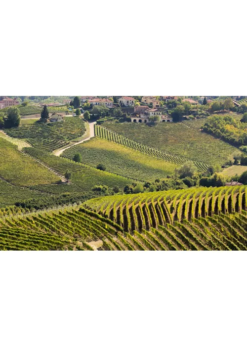 Chemin du Saint Bevitore : Agliano Terme - Castelnuovo Calcea